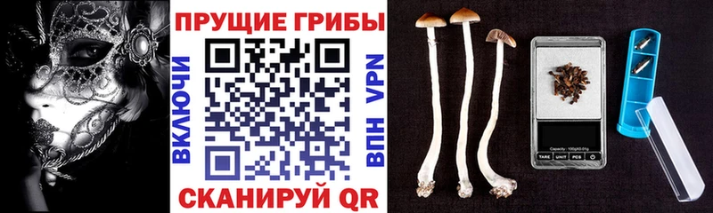 сколько стоит  Гуково  Псилоцибиновые грибы мухоморы 